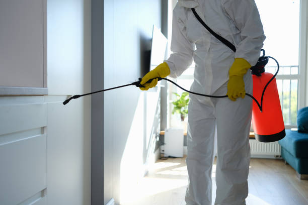 Best Mold Testing and Removal  in Manhattan, NY
