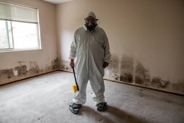 Certified Mold Removal in Manhattan, NY